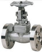 �ߜظ߉��p�l���l�y