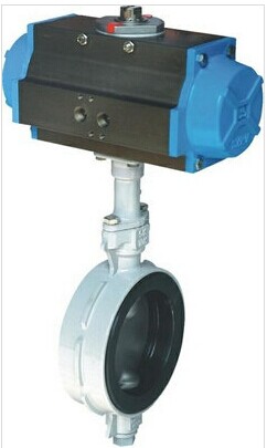 ���Ó����y