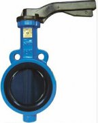 �o(w��)�N���y